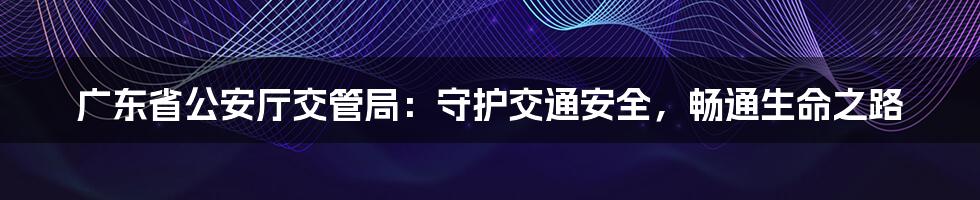 广东省公安厅交管局：守护交通安全，畅通生命之路