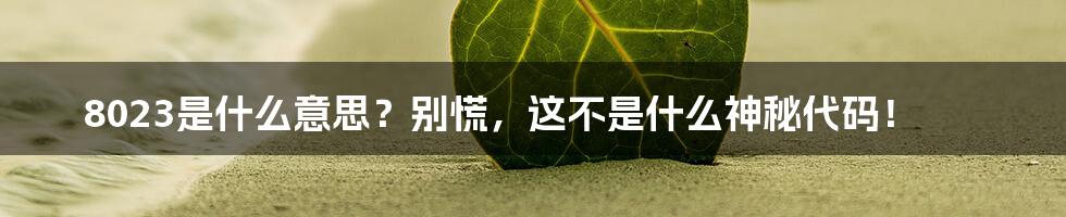 8023是什么意思?别慌,这不是什么神秘代码!