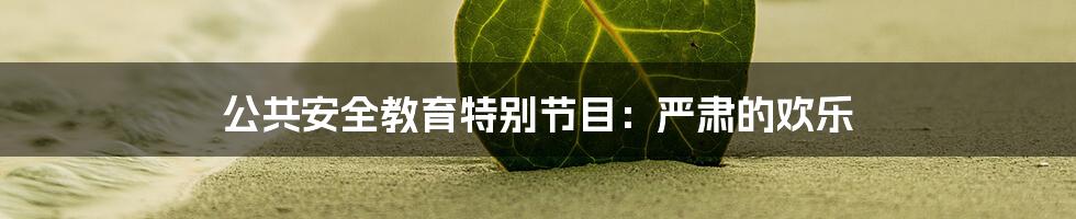 公共安全教育特别节目:严肃的欢乐