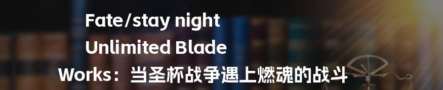 Fate/stay night Unlimited Blade Works:当圣杯战争遇上燃魂的战斗