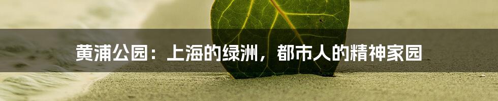 黄浦公园:上海的绿洲,都市人的精神家园