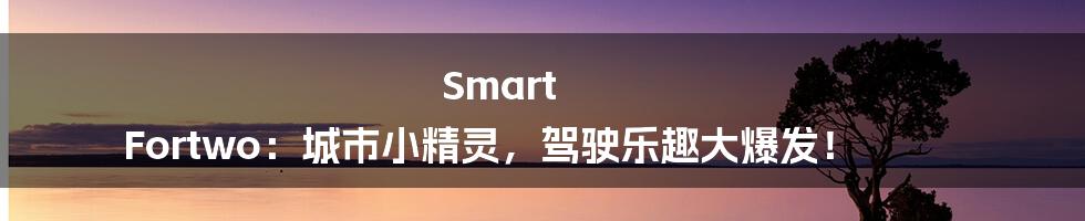 Smart Fortwo:城市小精灵,驾驶乐趣大爆发!