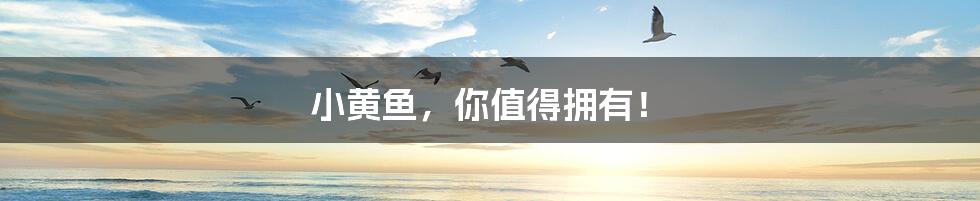 小黄鱼，你值得拥有！