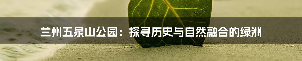 兰州五泉山公园:探寻历史与自然融合的绿洲