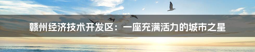 赣州经济技术开发区:一座充满活力的城市之星