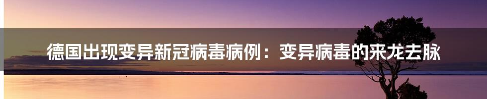 德国出现变异新冠病毒病例:变异病毒的来龙去脉