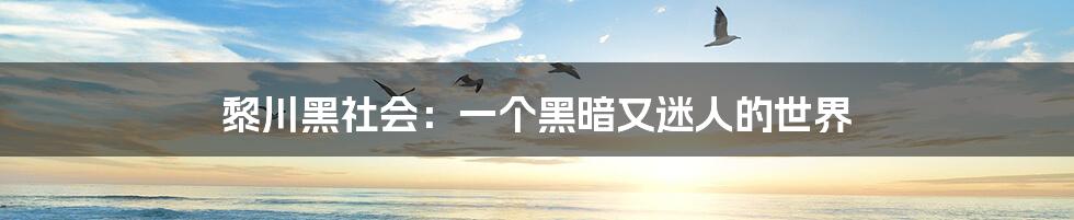 黎川黑社会:一个黑暗又迷人的世界