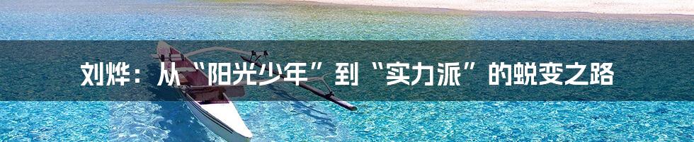 刘烨:从“阳光少年”到“实力派”的蜕变之路