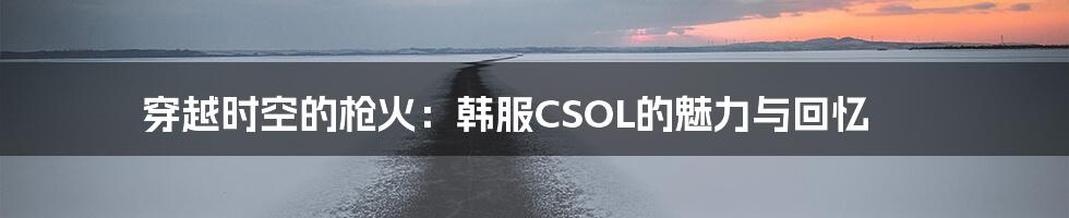穿越时空的枪火:韩服CSOL的魅力与回忆