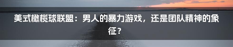 美式橄榄球联盟:男人的暴力游戏,还是团队精神的象征?