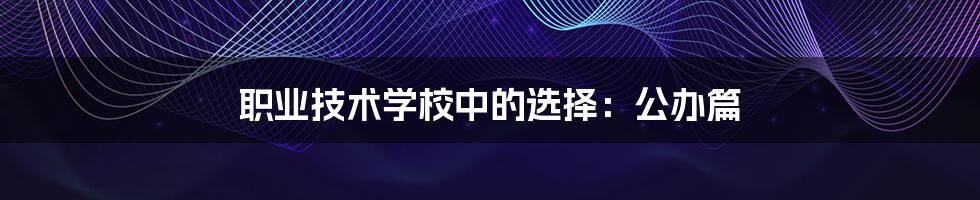 职业技术学校中的选择:公办篇