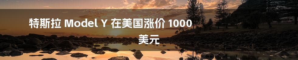 特斯拉 Model Y 在美国涨价 1000 美元