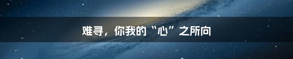 难寻,你我的“心”之所向