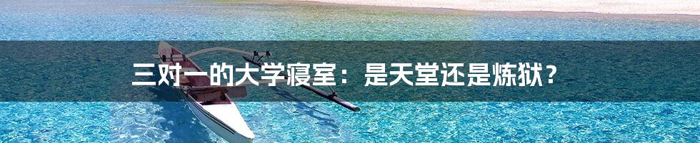 三对一的大学寝室:是天堂还是炼狱?