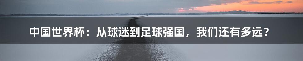 中国世界杯:从球迷到足球强国,我们还有多远?