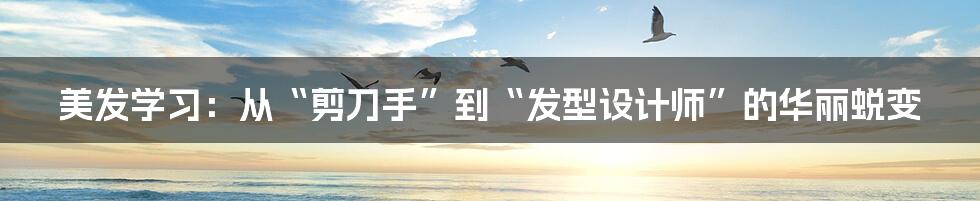 美发学习:从“剪刀手”到“发型设计师”的华丽蜕变