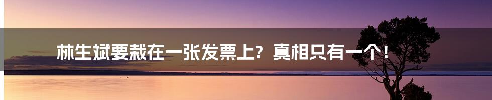 林生斌要栽在一张发票上?  真相只有一个！