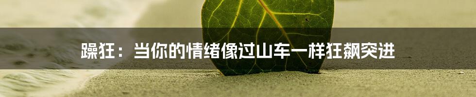 躁狂:当你的情绪像过山车一样狂飙突进