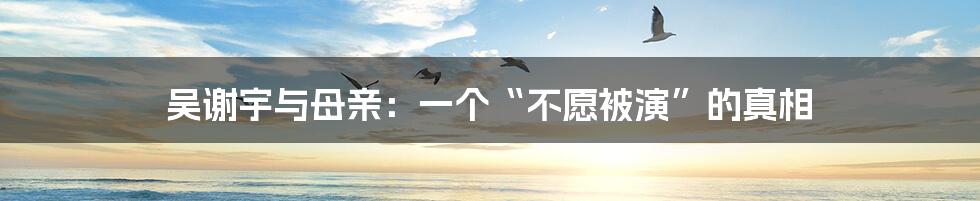 吴谢宇与母亲:一个“不愿被演”的真相