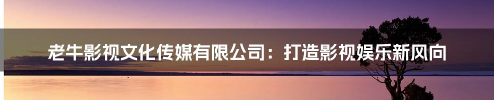 老牛影视文化传媒有限公司:打造影视娱乐新风向