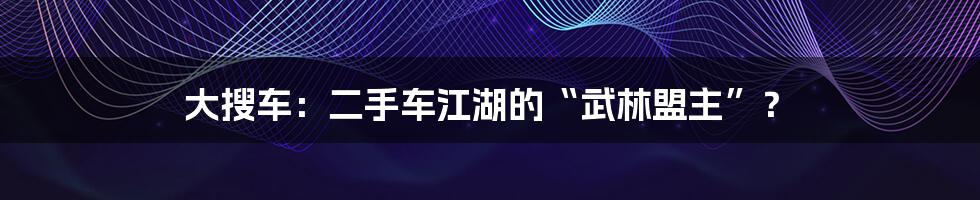 大搜车:二手车江湖的“武林盟主”?