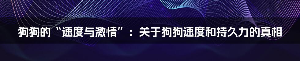 狗狗的“速度与激情”：关于狗狗速度和持久力的真相