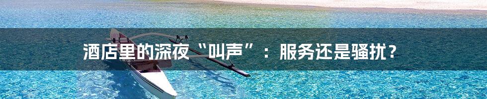 酒店里的深夜“叫声”:服务还是骚扰?