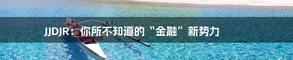 JJDJR:你所不知道的“金融”新势力