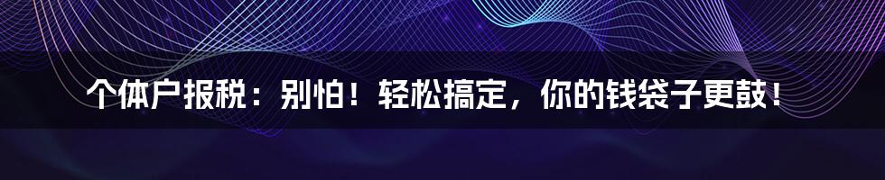 个体户报税:别怕!轻松搞定,你的钱袋子更鼓!