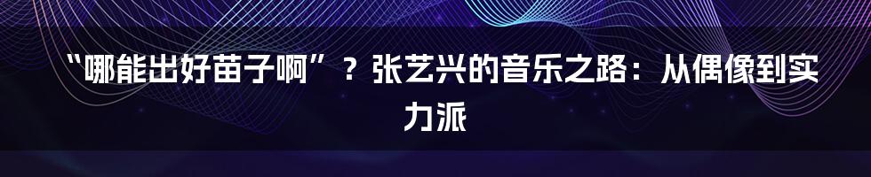“哪能出好苗子啊”?张艺兴的音乐之路:从偶像到实力派