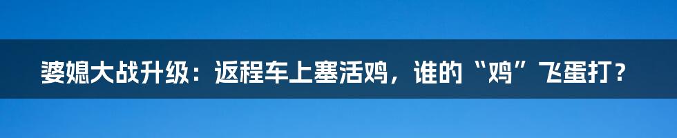 婆媳大战升级:返程车上塞活鸡,谁的“鸡”飞蛋打?