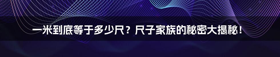 一米到底等于多少尺?尺子家族的秘密大揭秘!