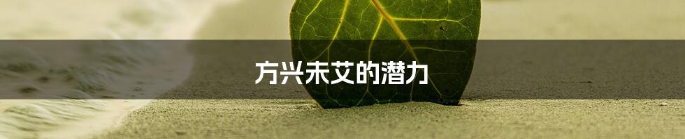 方兴未艾的潜力
