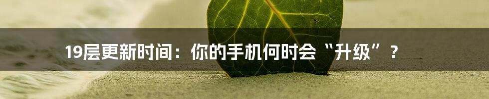 19层更新时间：你的手机何时会“升级”？