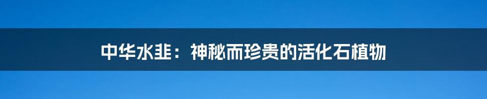 中华水韭:神秘而珍贵的活化石植物