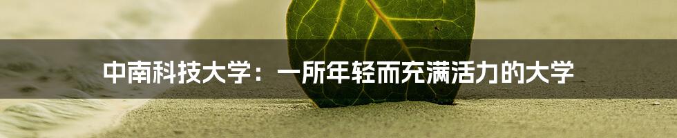 中南科技大学:一所年轻而充满活力的大学