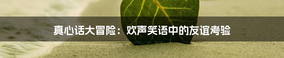 真心话大冒险：欢声笑语中的友谊考验