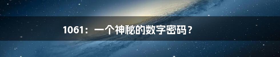 1061:一个神秘的数字密码?