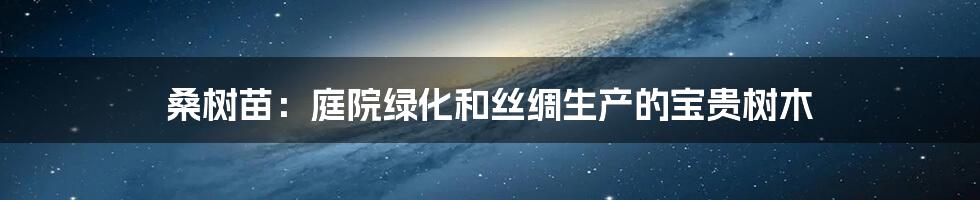桑树苗:庭院绿化和丝绸生产的宝贵树木