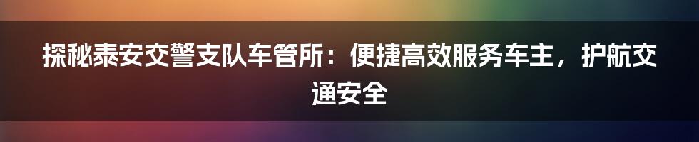 探秘泰安交警支队车管所:便捷高效服务车主,护航交通安全