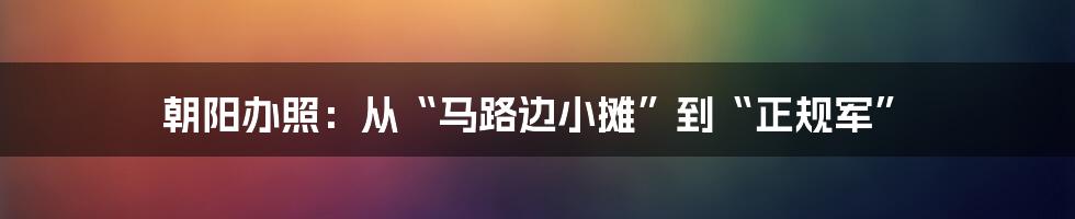 朝阳办照:从“马路边小摊”到“正规军”