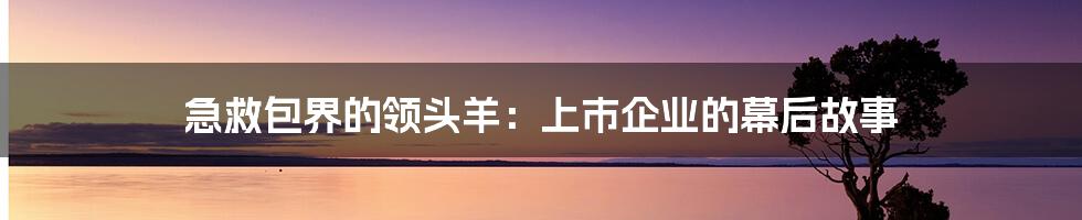 急救包界的领头羊:上市企业的幕后故事