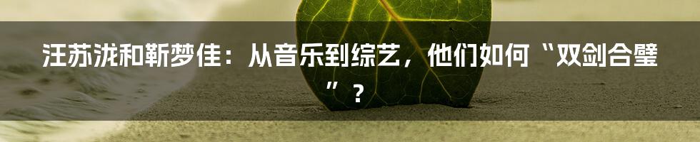汪苏泷和靳梦佳:从音乐到综艺,他们如何“双剑合璧”?