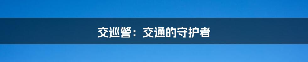 交巡警:交通的守护者