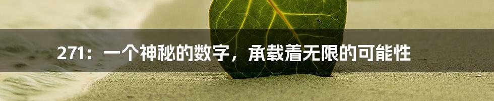 271：一个神秘的数字，承载着无限的可能性