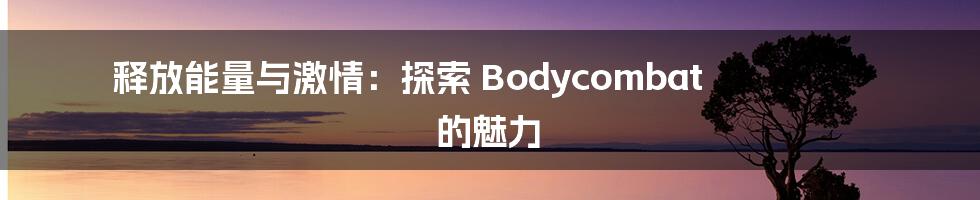 释放能量与激情:探索 Bodycombat 的魅力