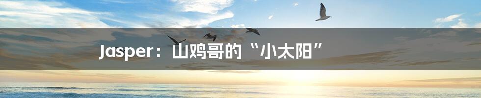 Jasper：山鸡哥的“小太阳”