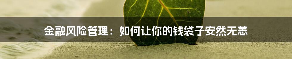金融风险管理:如何让你的钱袋子安然无恙
