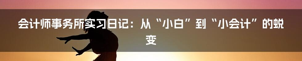 会计师事务所实习日记:从“小白”到“小会计”的蜕变