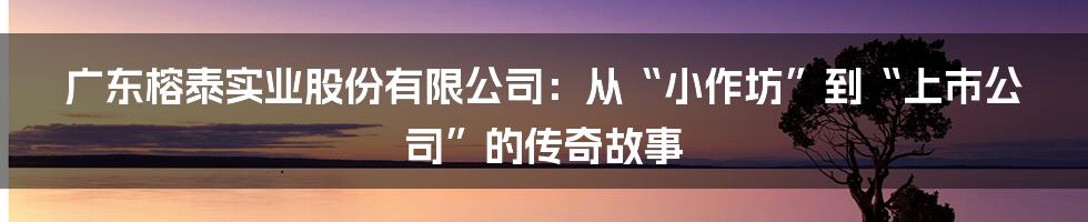 广东榕泰实业股份有限公司：从“小作坊”到“上市公司”的传奇故事